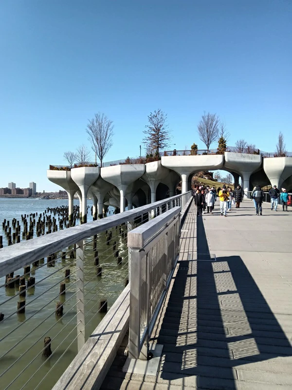 Pot-shaped “tulips” little Island, New York city