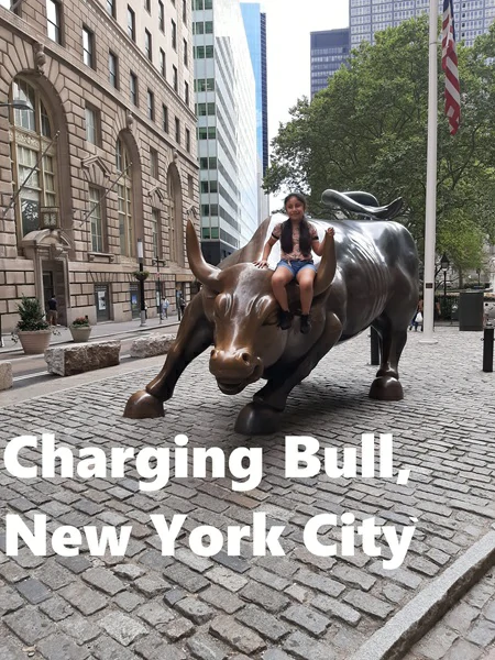 Image for article titled Charging Bull, New York City
